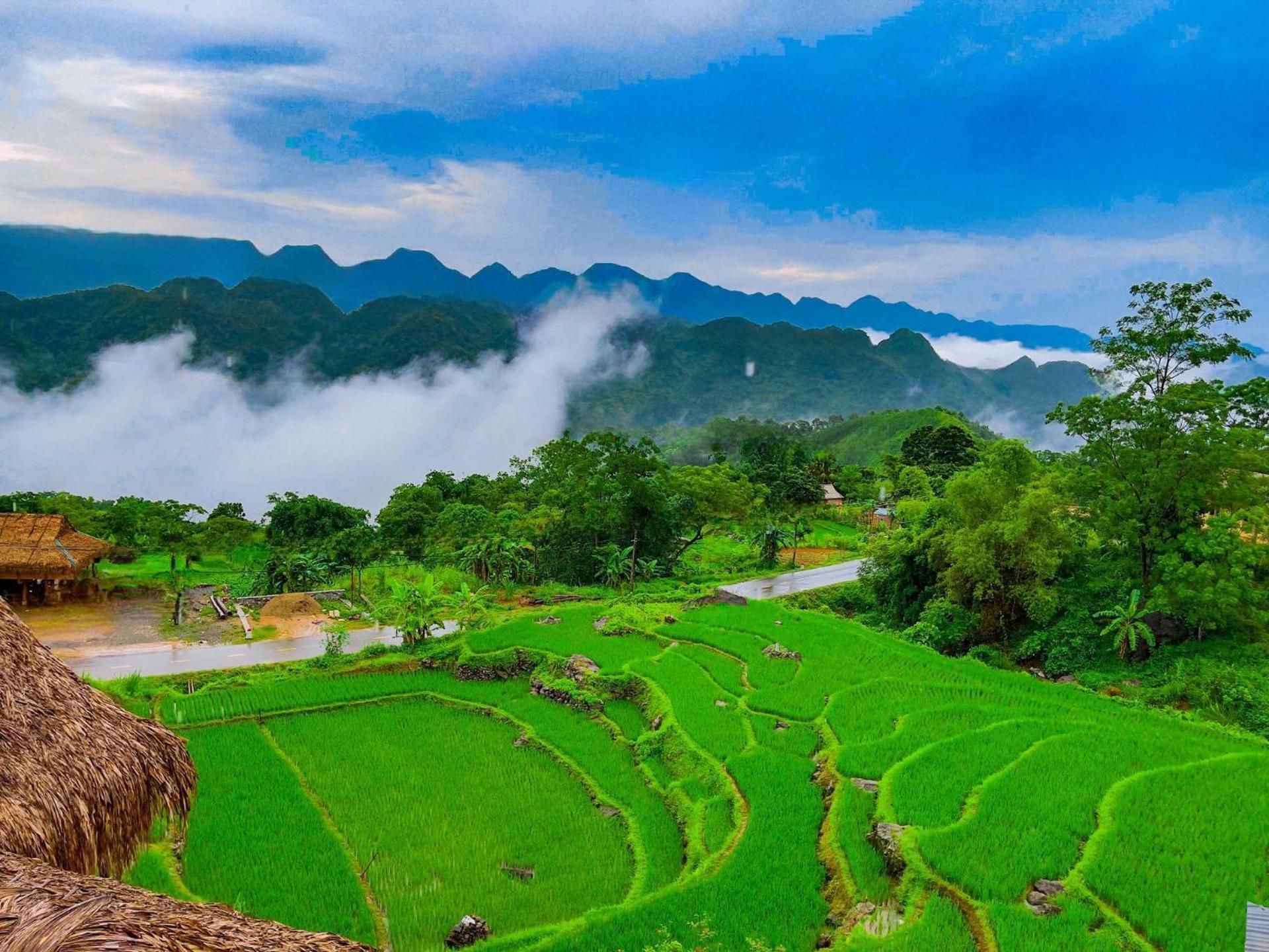 Pu Luong Jungle Lodge Екстериор снимка