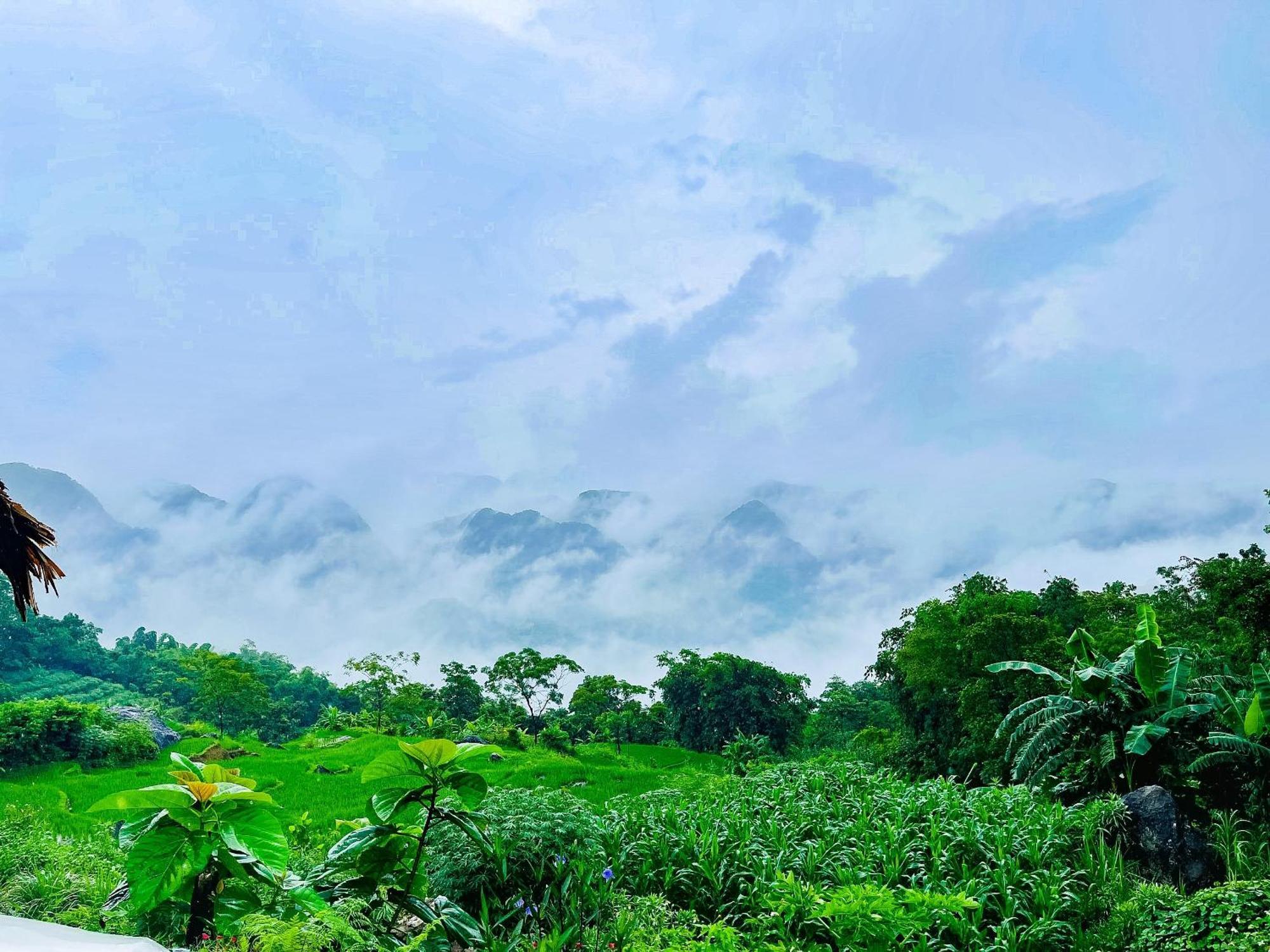 Pu Luong Jungle Lodge Екстериор снимка
