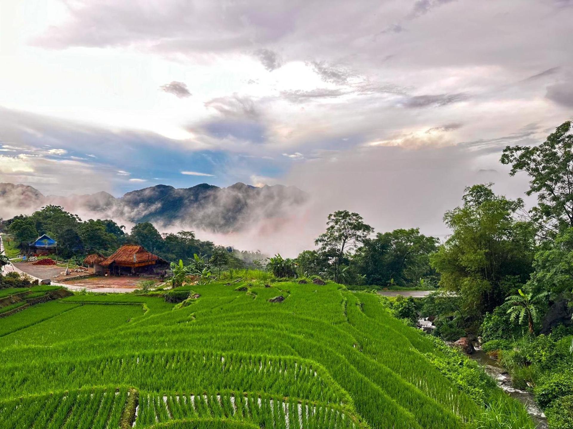 Pu Luong Jungle Lodge Екстериор снимка