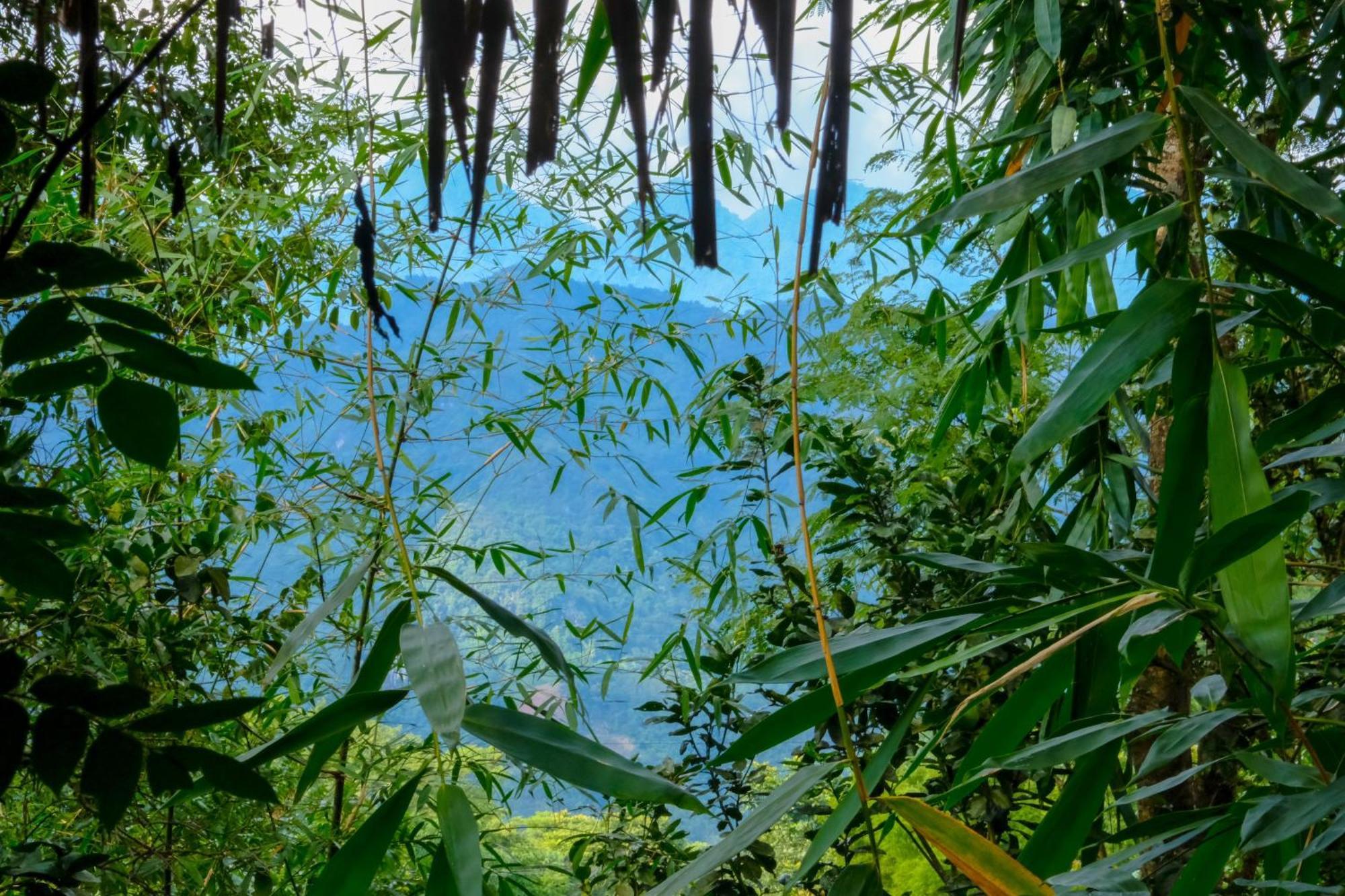 Pu Luong Jungle Lodge Екстериор снимка