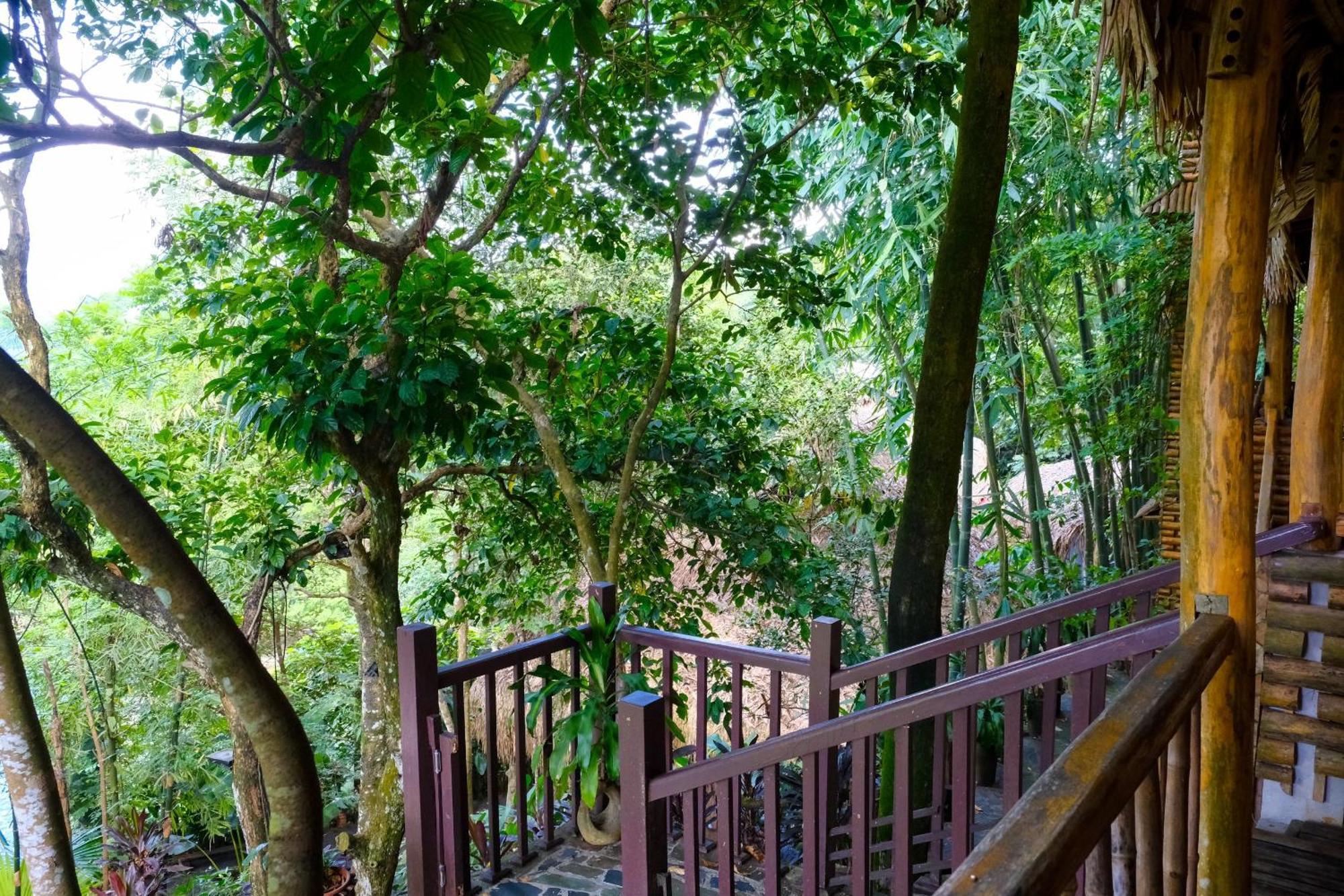 Pu Luong Jungle Lodge Екстериор снимка